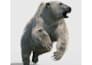 create custom animal model with texture, render in blender and zbrush